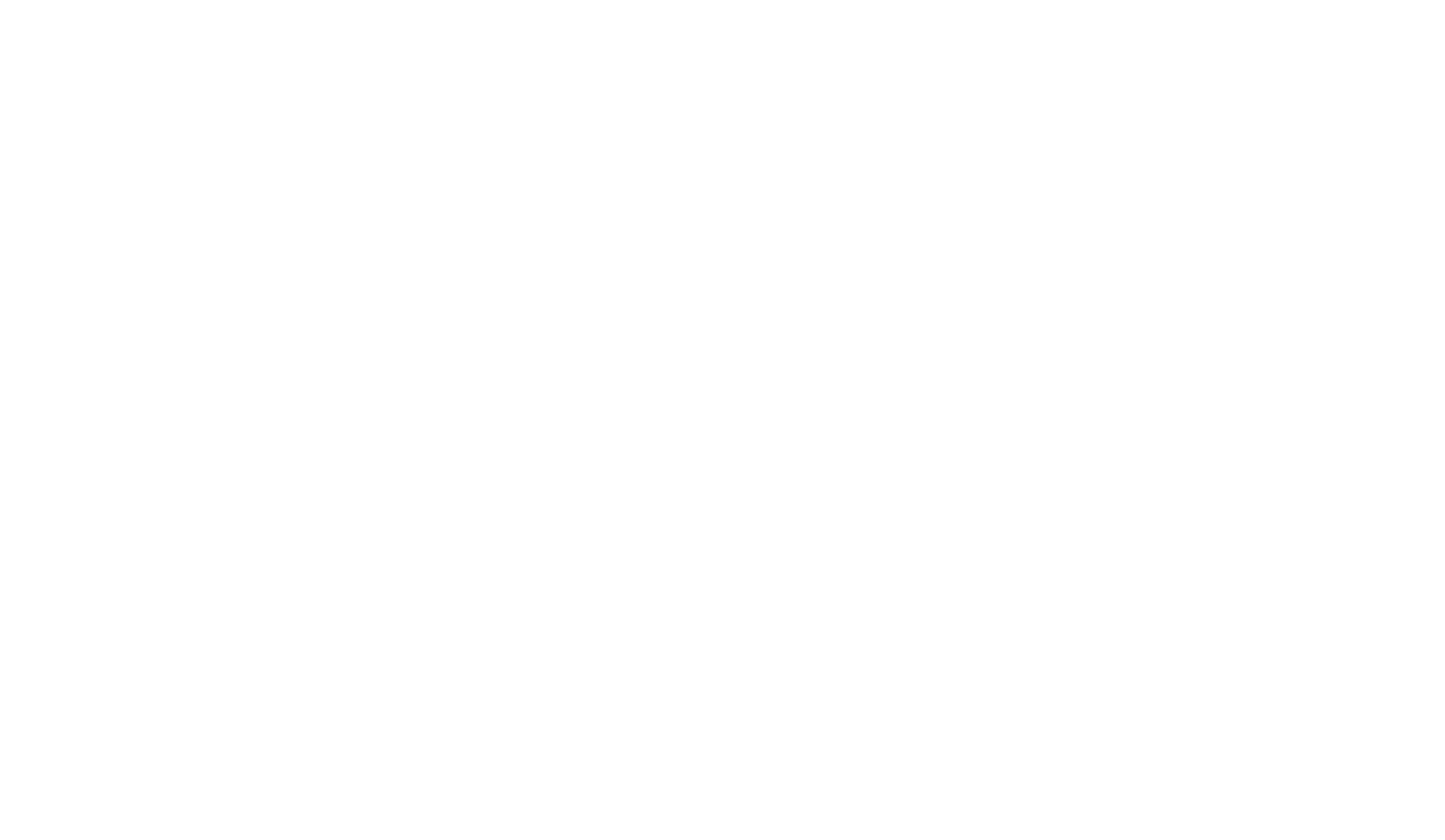 Bingo Drinkery wordmark